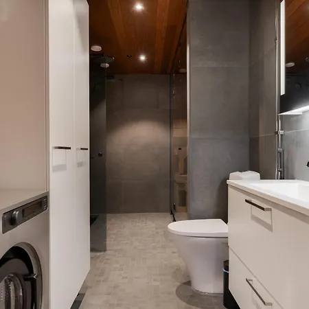 Le Lingonberry D14 Ski-in Ski-out By Aavalevi * Levi